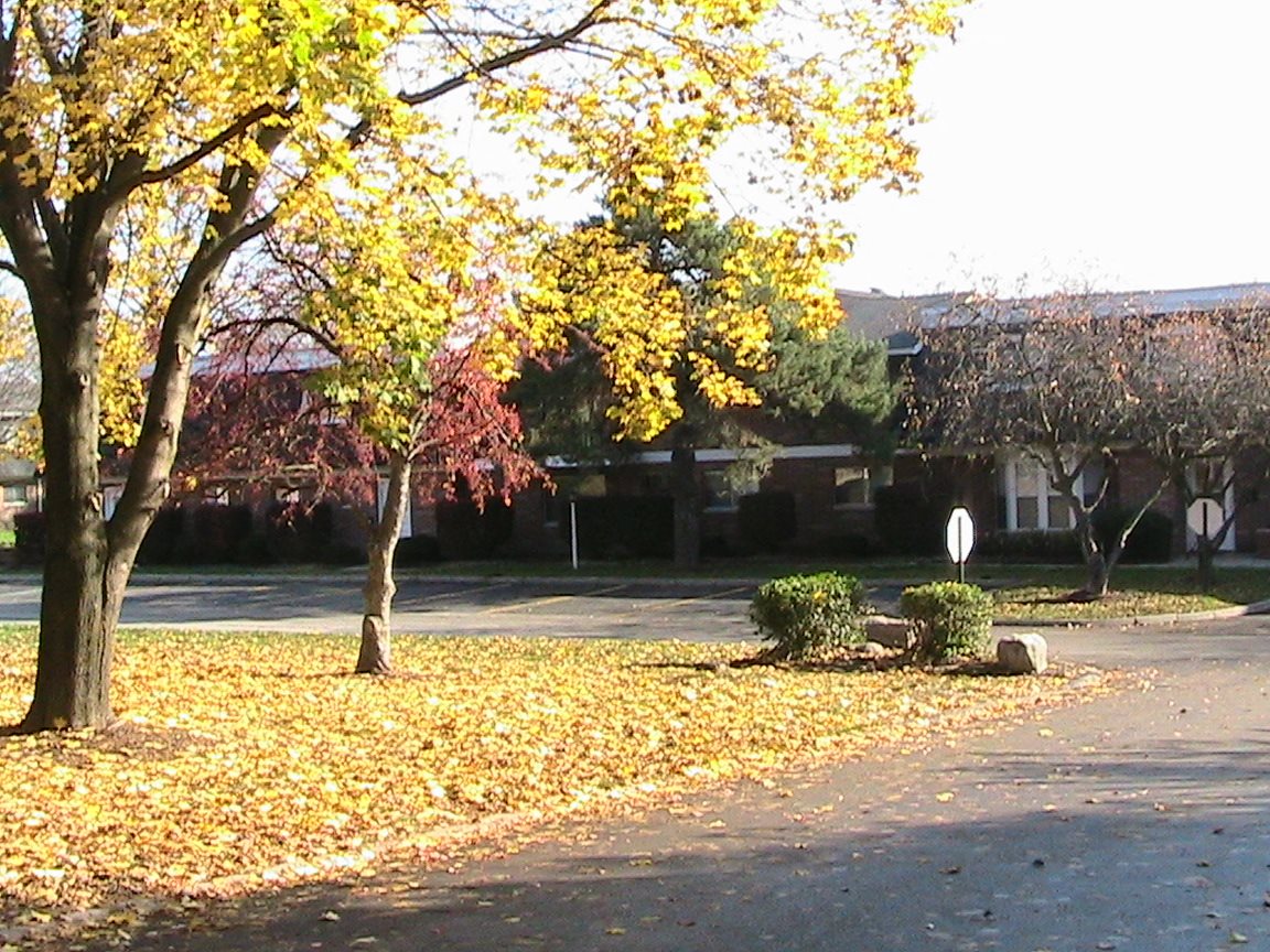 Gallery Photo 10